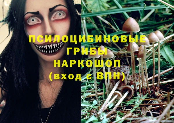 трава Абинск