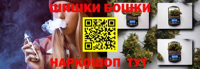 спиды Обь