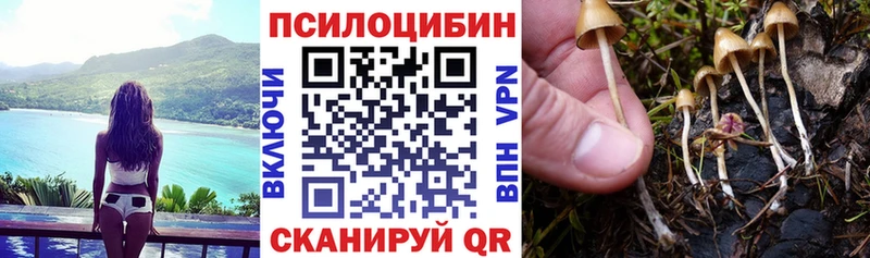 Галлюциногенные грибы ЛСД  Челябинск 