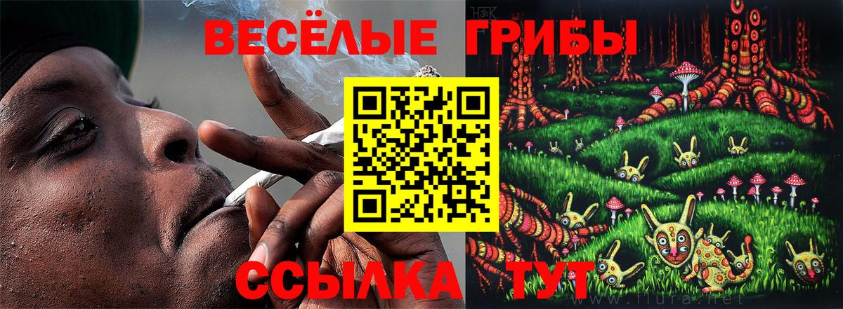 Галлюциногенные грибы Magic Shrooms Челябинск
